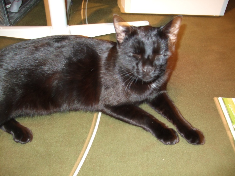 Ostern 2007 Orleshausen 109 